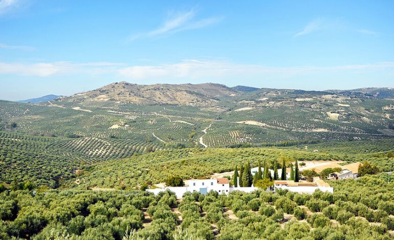  Hay un inversor nuevo e insospechado en el campo andaluza: PepsiCo

 – En un click
