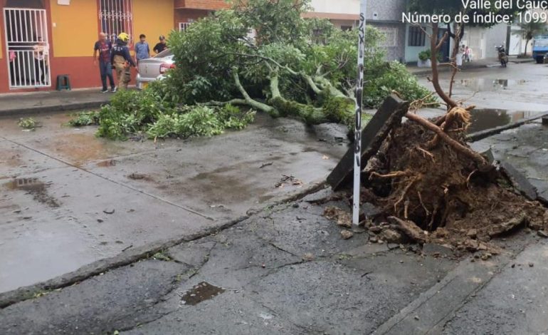 Cali fue colapsado nuevamente por fuertes lluvias: en el oeste, Gulce rompió el vaso de una ventana
