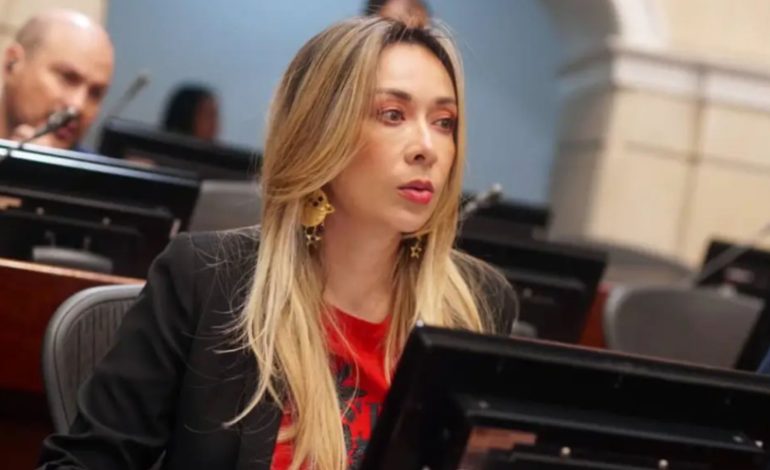  El tribunal constitucional depende de Katherine Miranda

 – En un click