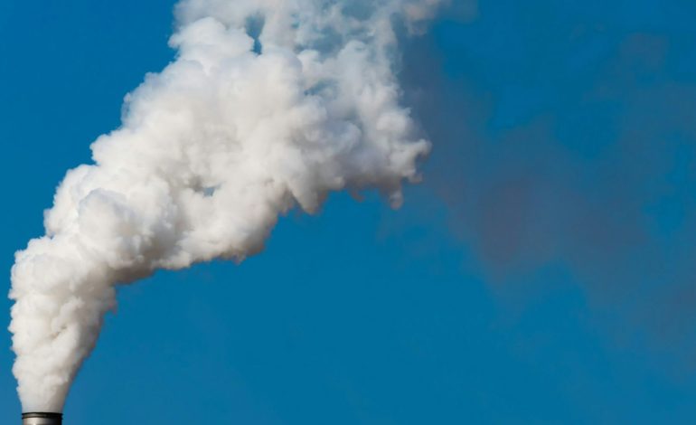  Humo blanco, el mundo tiene una papa nueva