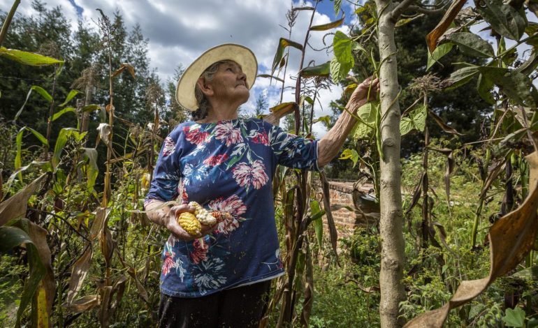 Guía de madres emprendedoras que desean organizar sus finanzas