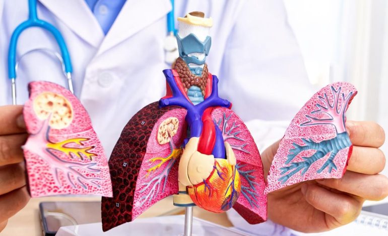  Informan 111 casos de tuberculosis en la prisión modelo de Bucaramanga: ¿Cómo está controlando?

 – En un click