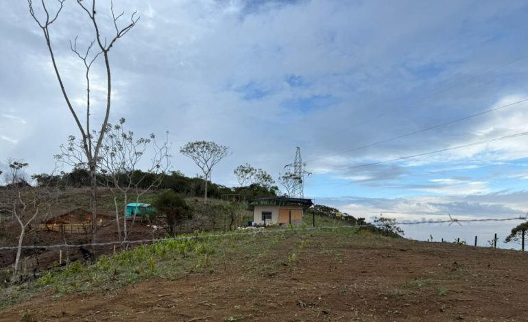  La controvertida tierra de narcotraficantes en Jamundí, donde los estafadores venden lotes caros: ¿mafia de invasión?