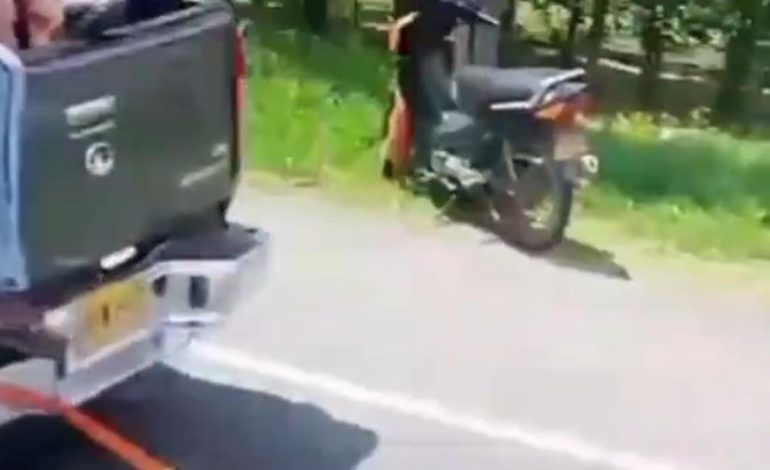 Las autoridades investigan el vehículo que habría arrastrado a una vaca, después del accidente en Palmira