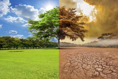  Cambio climático y sostenibilidad Mark Colombia y Caricom en Cartagena

 – En un click