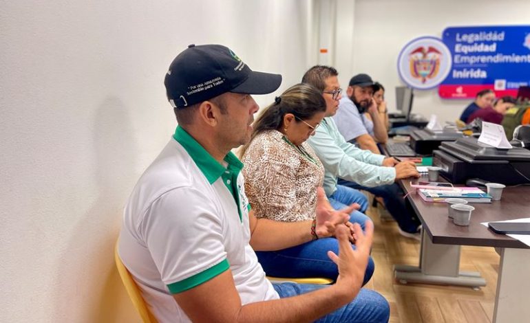 Analizan la situación amarilla de la fiebre en Guainía