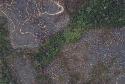 La UE no retrasará la ley contra la deforestación importada, pero la flexibilizará
– En un click