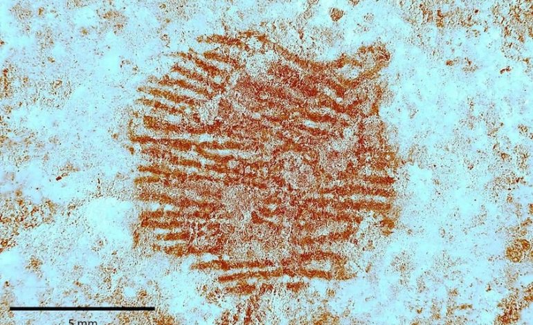  Hemos encontrado la huella digital humana más antigua del mundo. Tiene 43,000 años y alguien la dejó en España

 – En un click