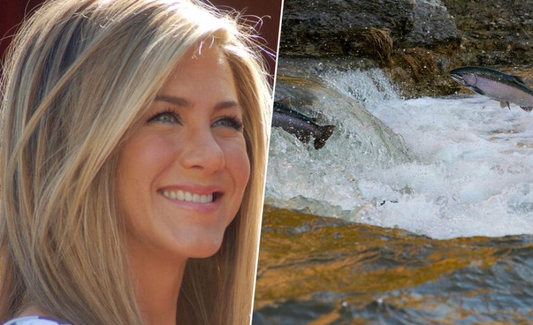  Salmon Sperm es el nuevo ingrediente de moda en la estética. Y no, no es tan loco como suena

 – En un click