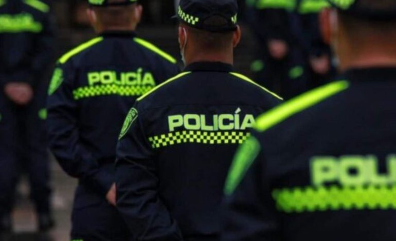  Imputan cargos uniformados de la Policía que habrían facilitado extracción maderera ilegal – En un click