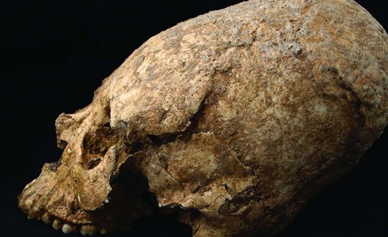  Hemos encontrado un cráneo de hace 6.200 años y signos de violencia. La gran pregunta es lo que estaba haciendo allí

 – En un click