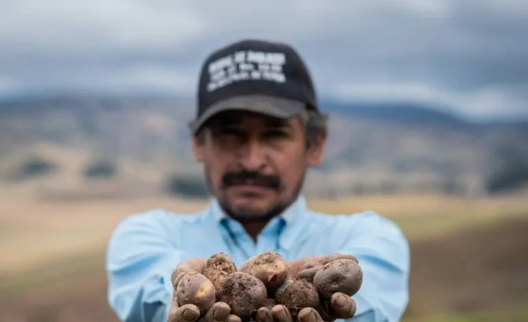  Olympic comienza el plan nacional para comprar directamente al campesino y reducir los precios del consumidor

 – En un click