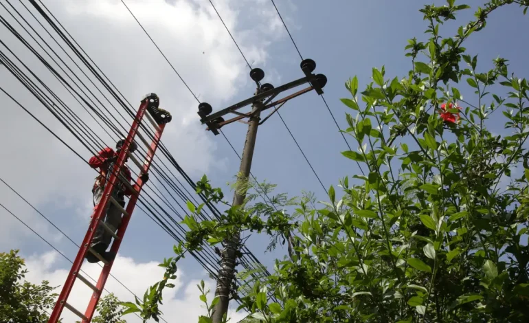  ¡Ojo! Recortes de energía en cinco vecindarios de Cali este martes 24 de junio para el mantenimiento: lo que debe saber

 – En un click