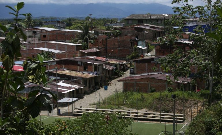  ¿Por qué los homicidios todavía disparan en Buenaventura? En el fin de semana, la mayoría ocurrió en la zona rural

 – En un click