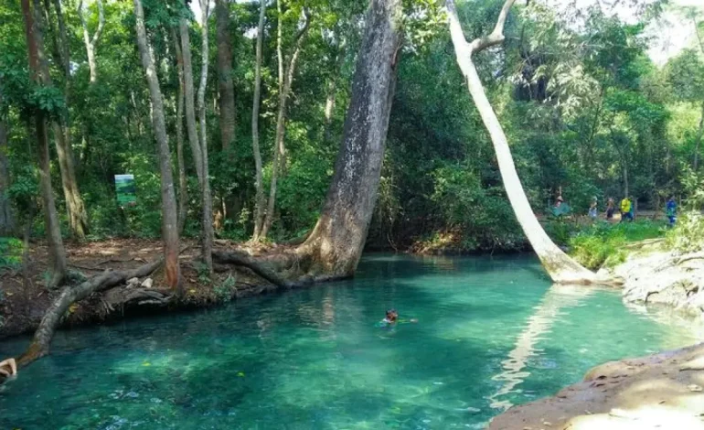  Cañavera se opone a la mina de carbón abierta que amenaza su primavera en el sur de La Guajira

 – En un click