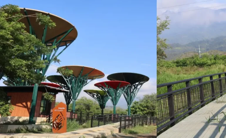  Un nuevo espacio natural dedicado a la restauración ecológica en Cali

 – En un click