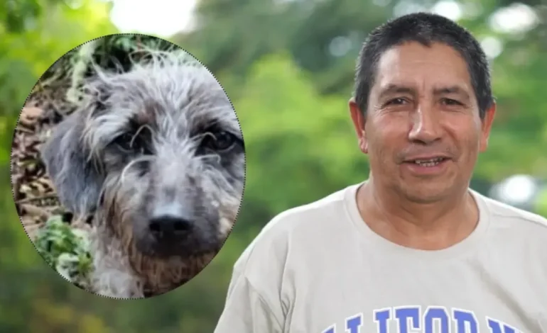 El perro lo acompañó hasta el final
– En un click