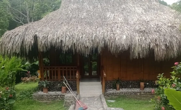 La familia Méndez se defiende de las acusaciones de amenazas y apropiación del hotel en el Tayrona
– En un click