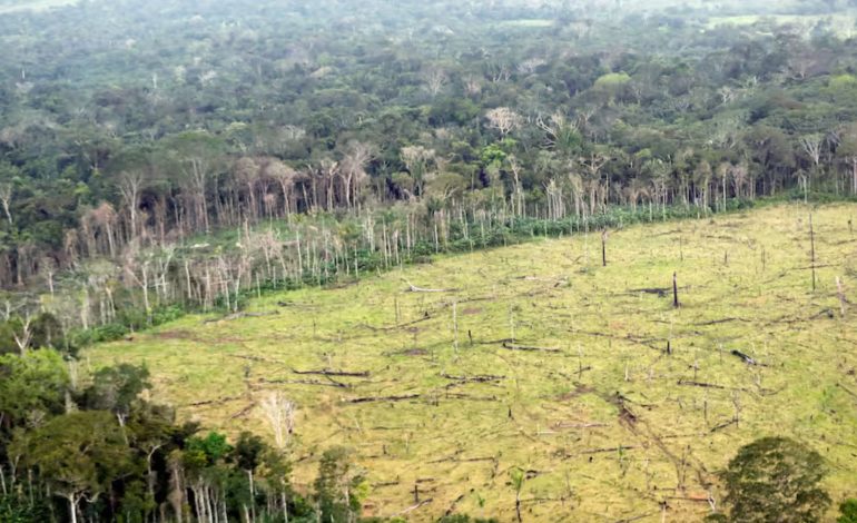 El ministro del medio ambiente dice que las violaciones de Krčenje disminuyeron en un 33%
– En un click