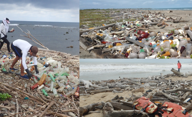  Están más contaminados que las zonas urbanas

 – En un click