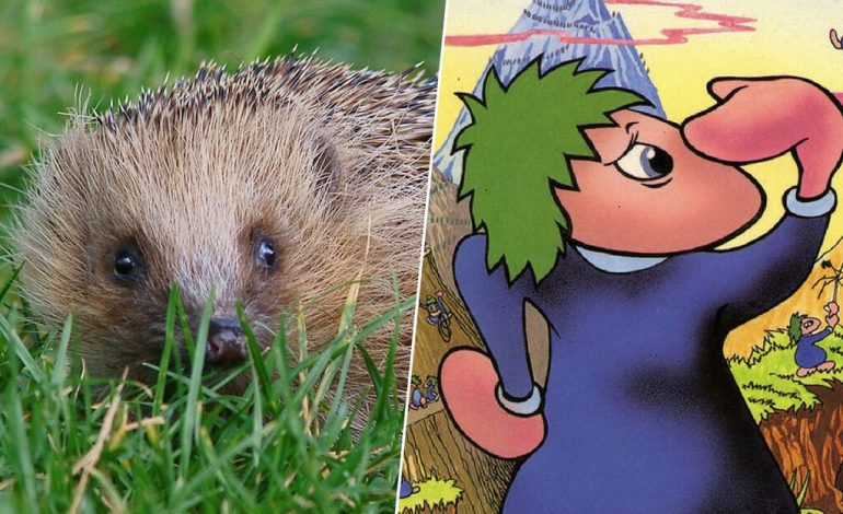  Hemos estado pensando durante 50 años que los lemmings son roedores que se suicidan. La culpa de todo tiene Disney

 – En un click
