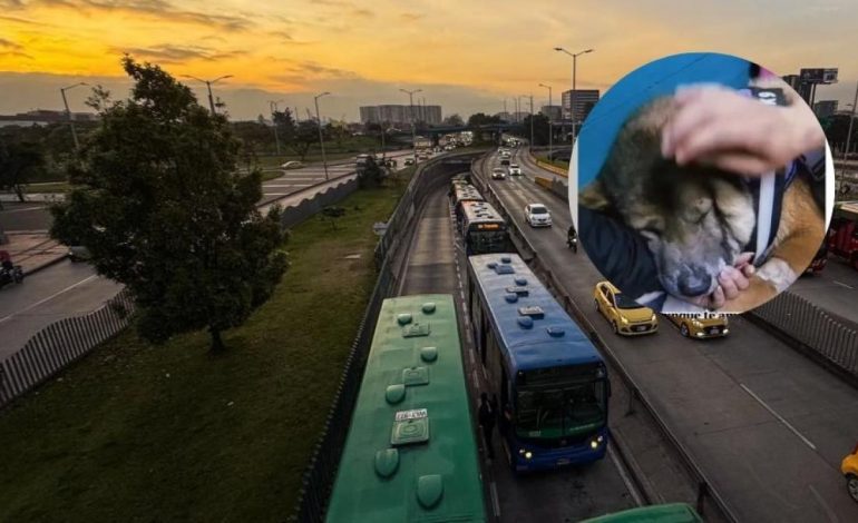  Transmilenio condena a la calle por un autobús SITP y su posterior abandono

 – En un click