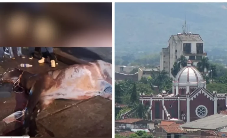  Un caballo murió de ataque cardíaco; Van 3 años con muertes equinas

 – En un click
