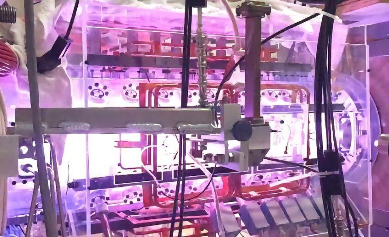  Hay una sola oportunidad en 11,000 años de llegar al planeta Sedna. Algunos italianos quieren usar este motor nuclear

 – En un click