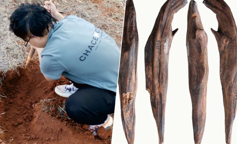  Hemos encontrado herramientas hace 300,000 años en China. Y pusieron piernas lo que creíamos en la paleodieta

 – En un click