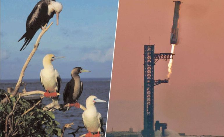  Estados Unidos y SpaceX querían revolucionar la entrega de armas en cualquier parte del mundo. Un pájaro tropical tenía otros planes

 – En un click