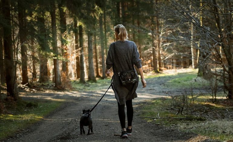  El debate sobre si es mejor caminar rápidamente o caminar lentamente se establece. Al menos si lo que estamos buscando es nuestra salud

 – En un click