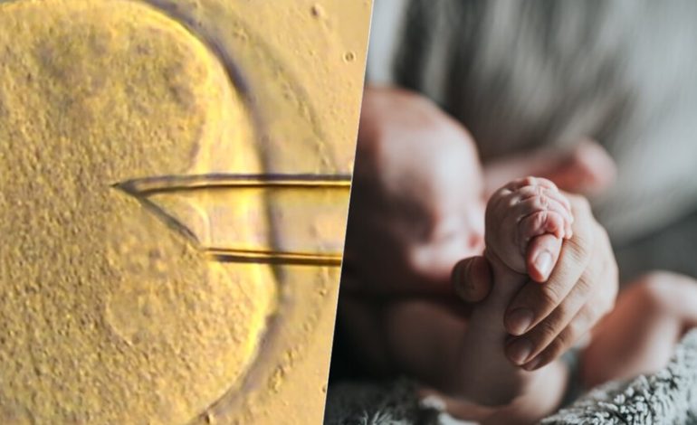 La fertilización ‘in vitro’ ha dado un paso sorprendente usando ADN mitocondrial

 – En un click