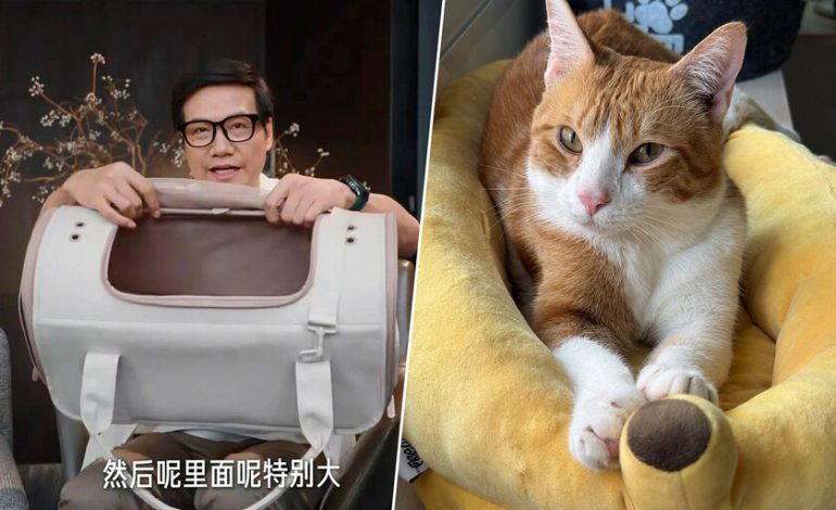 El CEO de Xiaomi salió en un video que mostraba un nuevo producto y se agotó en minutos. Era un portador de gatos

 – En un click