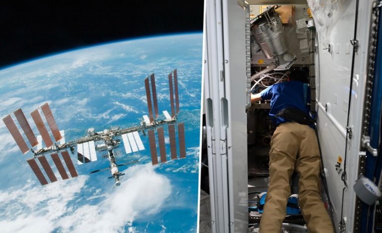 Una falla desagradable en el baño de la ISS obliga a los astronautas a precauciones extremas
– En un click
