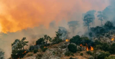  Colombia saluda la opinión de CIJ y espera que las obligaciones climáticas más ambiciosas impulsen

 – En un click