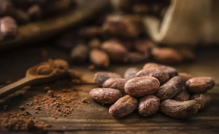 El Gremio de Cocoa en Colombia solicita el diálogo con el gobierno nacional, de no ser escuchado, se detendrían la próxima semana: esta solicitud
– En un click