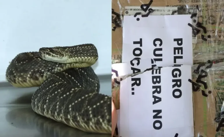  Ponen señal de advertencia para la caja

 – En un click