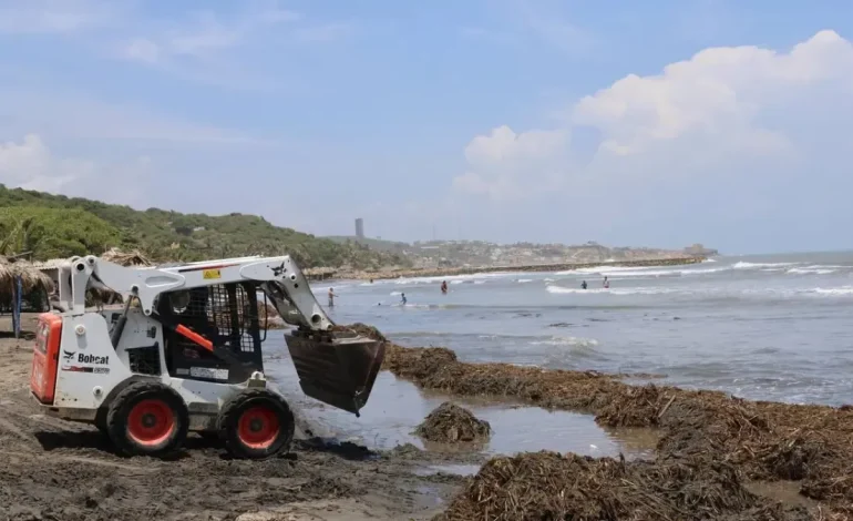 Puerto Colombia recolecta más de 30 toneladas de Tarulla en Salgar para proteger sus playas y garantizar el turismo sostenible

 – En un click