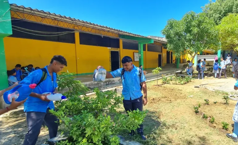  En Bolívar, un maestro convierte las áreas verdes olvidadas en un aula al aire libre que combina geometría, ecología, arte y tecnología con visión STEM

 – En un click