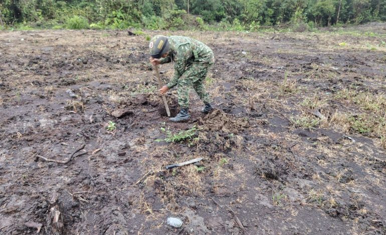 El ejército desactiva explosivos instalados cerca de la escuela en el conjunto (Nariño)

 – En un click