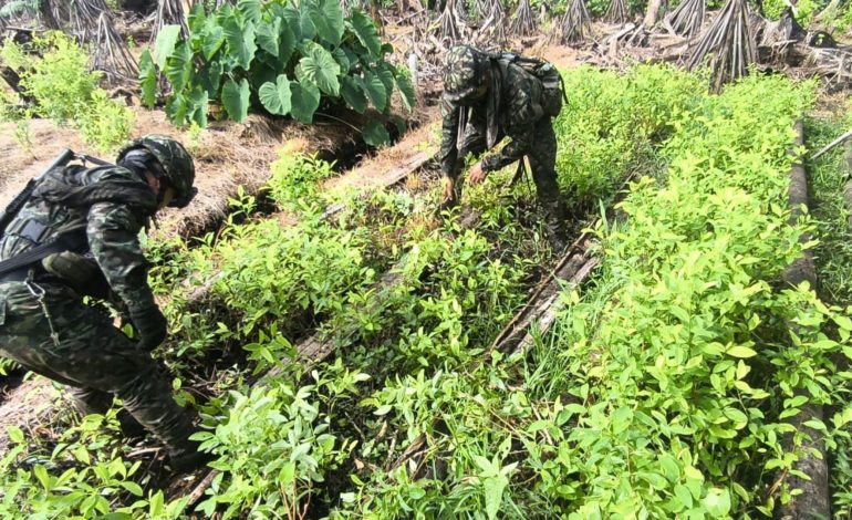  Ataque motobombic en Calamar, Guaviara a Grupo de Army

 – En un click