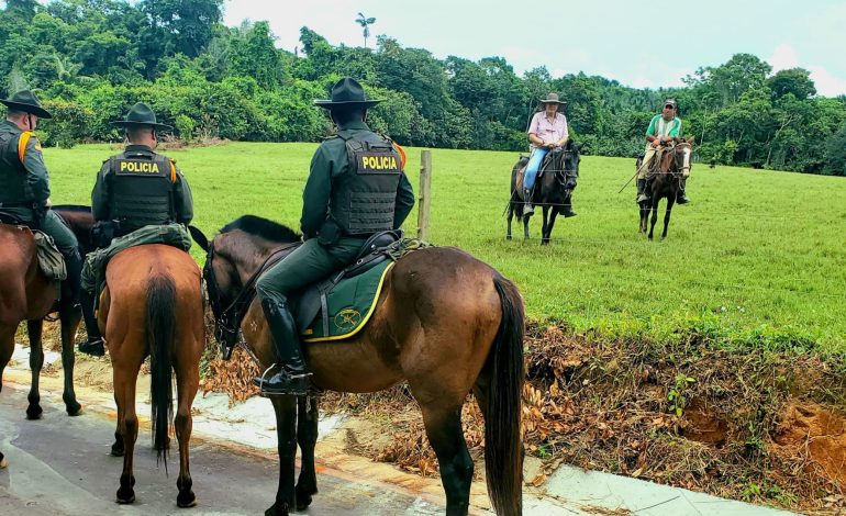 Último blues que la dirección de la policía de Carabineros Dala ayuda a proteger el medio ambiente

 – En un click