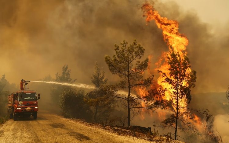  Incendios en Türkiye: más de 50,000 evacuados en ̇zmir – 

 – En un click