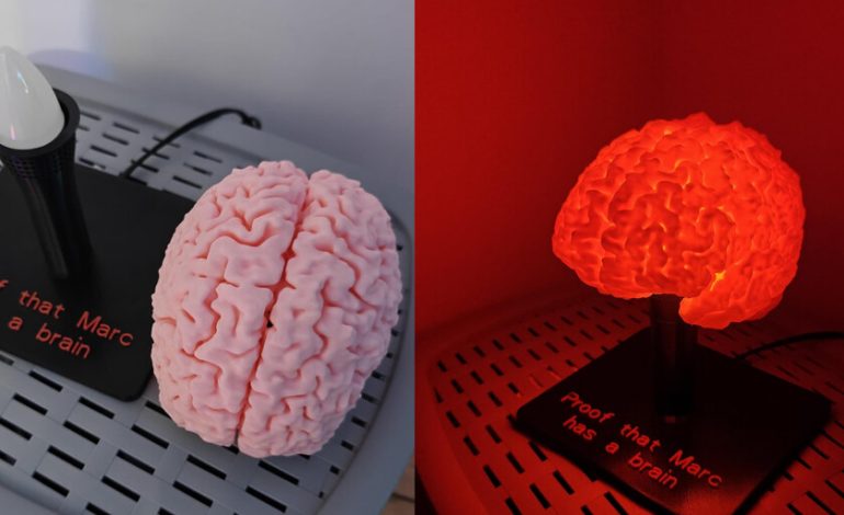  Alguien ha impreso en 3D su propio cerebro para convertirlo en una lámpara. Lo mejor es que tú también puedes hacerlo

 – En un click