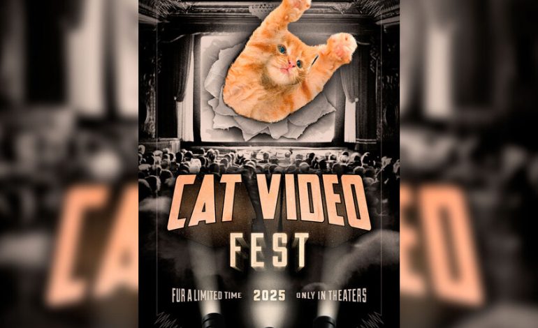  En 2016, un hombre comenzó a editar películas con videos de gatitos. Hoy los proyecta en los cines y está criando una fortuna

 – En un click