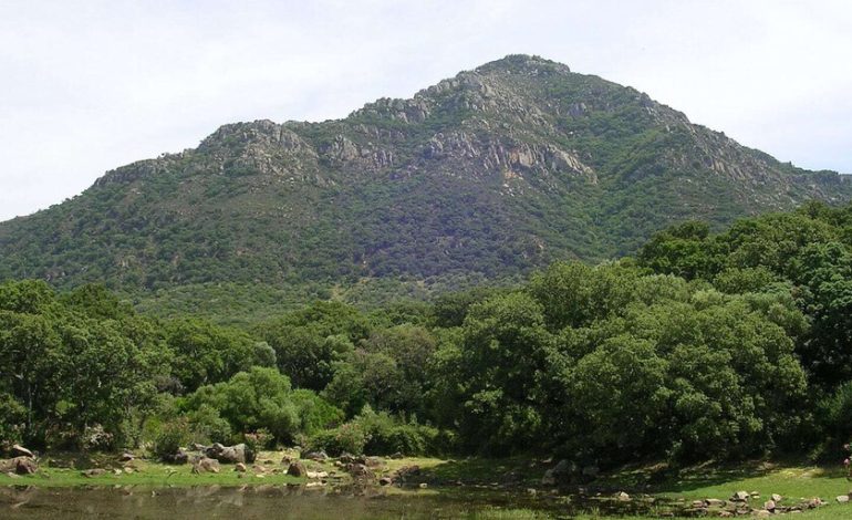  A pesar de la sequía y el cambio climático, Andalucía es hoy más verde que en los años 90. No es tan positivo como parece

 – En un click