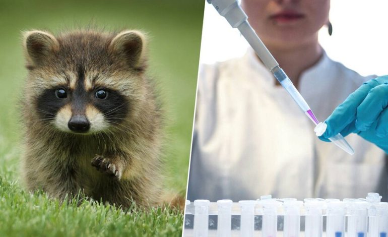  El lugar donde se almacenan docenas de células animales en caso de que haya un gran desastre

 – En un click