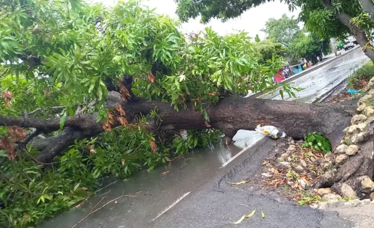  Las emergencias en Sucre debido a las lluvias dejan a más de 500 familias afectadas

 – En un click