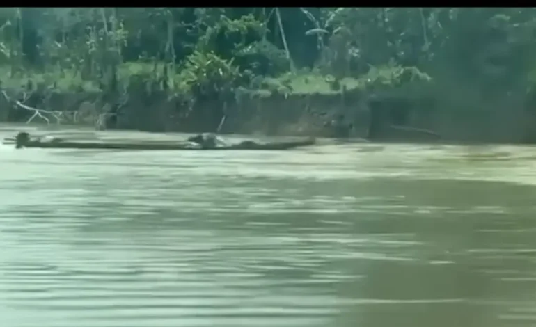  Fuerzas navales Ataque frustrado con un barco explosivo en el río Guaviare: no se registran víctimas

 – En un click