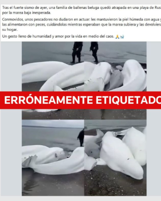  Las redes colapsan la información errónea después de la alerta de tsunami: alerta de expertos sobre bulos – 

 – En un click